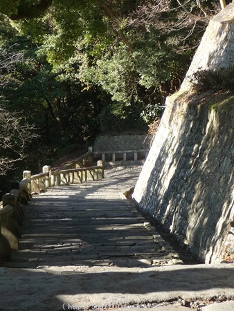150108-久能山東照宮 参道 (36)