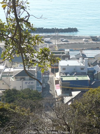 150108-久能山東照宮 参道 (43)