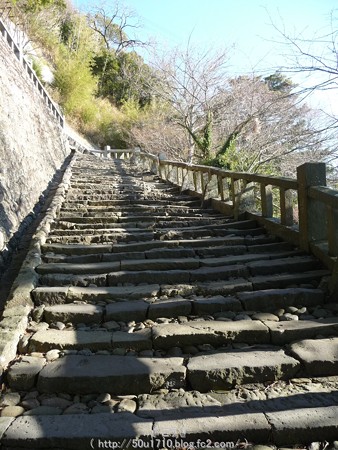 150108-久能山東照宮 参道 (44)