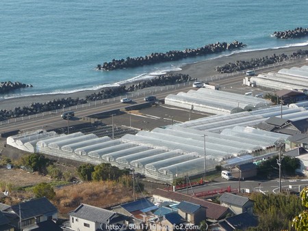 150108-久能山東照宮 参道 (62)