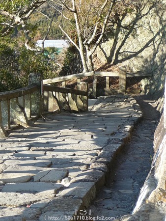 150108-久能山東照宮 参道 (66)