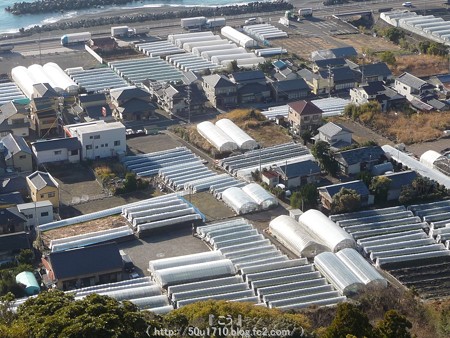 150108-久能山東照宮 参道 (72)