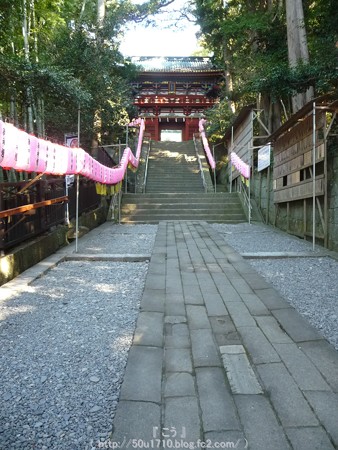 150109-久能山東照宮 (2)