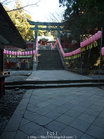 150109-久能山東照宮 (21)