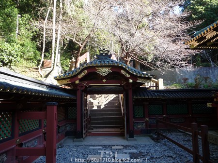 150109-久能山東照宮 (51)