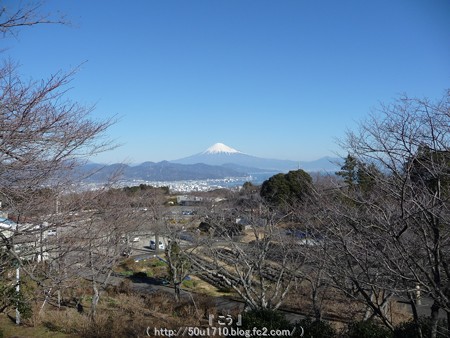 150109-日本平 (18)