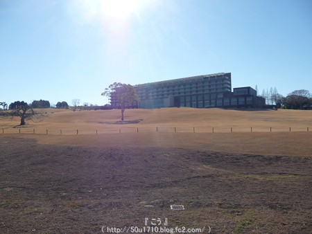 150109-日本平ホテル (32)