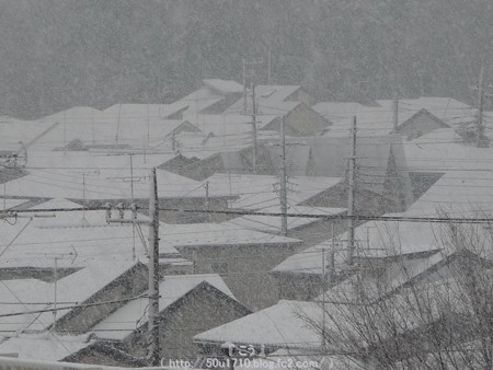 150130-雪 (9)