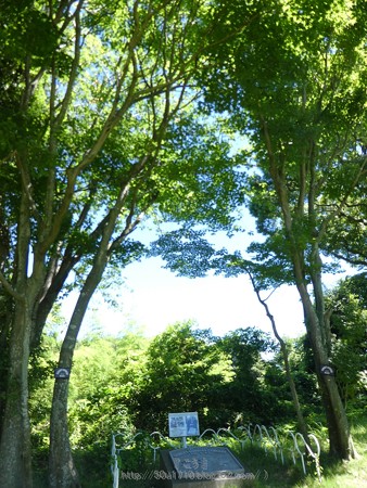 170809-日本平 (27)