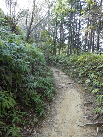 160325-熊野古道 小辺路 (18)
