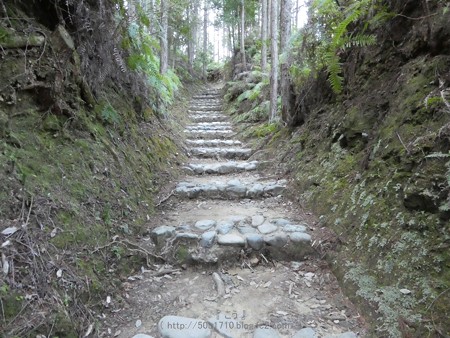 160325-熊野古道 小辺路 (22)