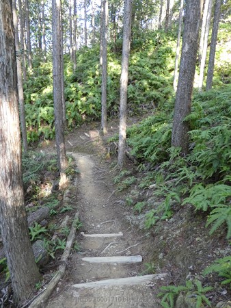 160325-熊野古道 小辺路 (46)