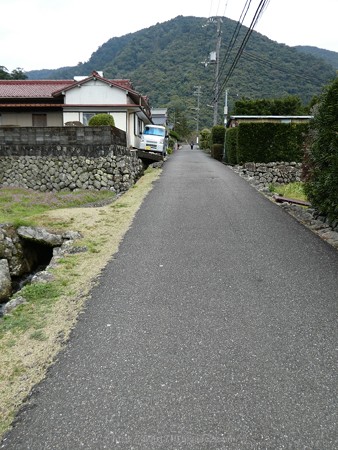 160324-熊野古道 大門坂 (13)
