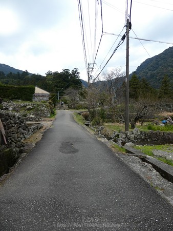 160324-熊野古道 大門坂 (16)