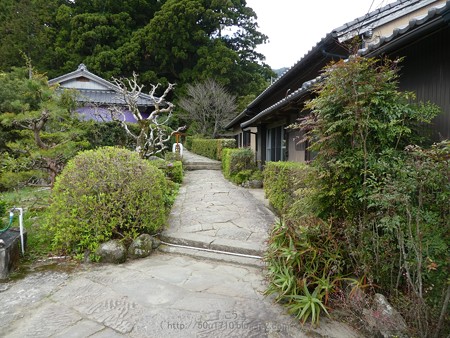 160324-熊野古道 大門坂 (24)