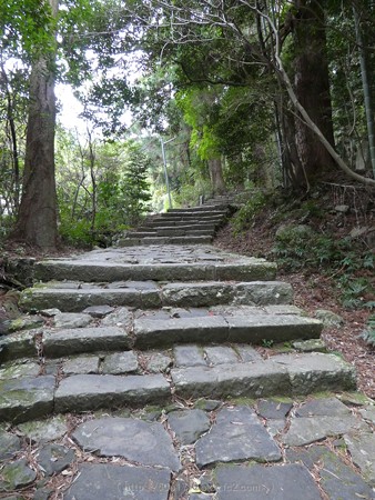 160324-熊野古道 大門坂 (37)