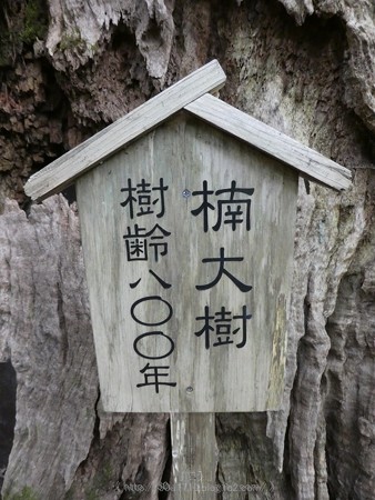 160324-熊野古道 大門坂 (45)