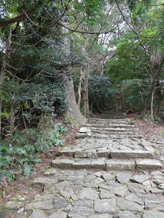 160324-熊野古道 大門坂 (54)