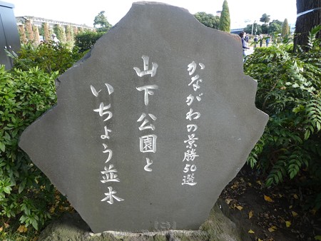 171112-山下公園通り (36)