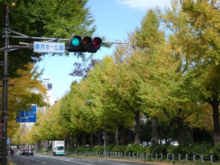 171112-山下公園通り (50)