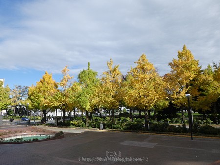 171112-山下公園通り (58)