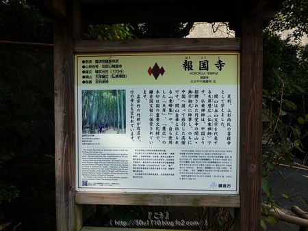 171113-報国寺 (4)