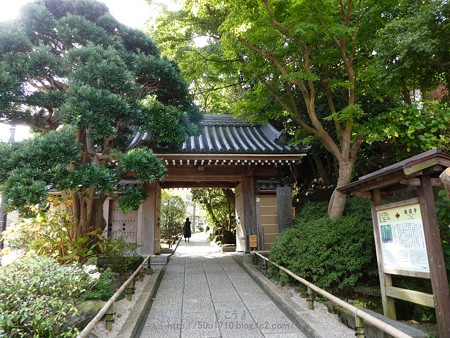 171113-報国寺 (5)