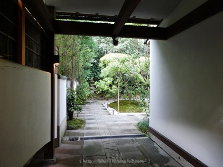 171113-報国寺 (16)