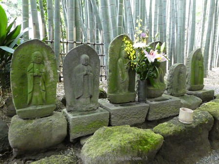171113-報国寺 (26)