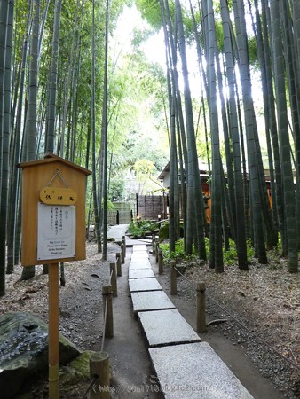171113-報国寺 (34)