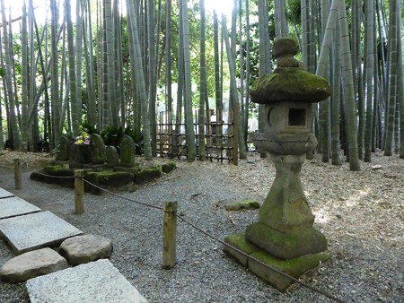 171113-報国寺 (52)