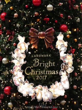 171112-ランドマークタワー クリスマスツリー (28)