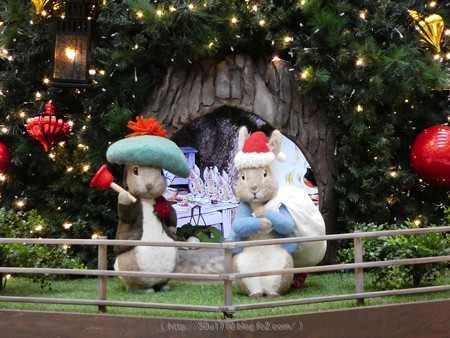 171112-ランドマークタワー クリスマスツリー (41)