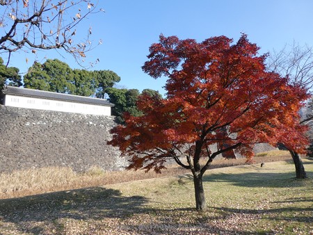 171207-皇居 (51)