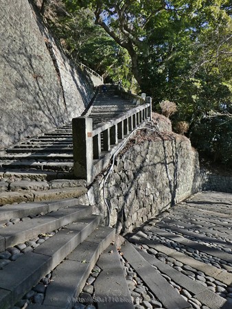 180110-久能山東照宮 (23)