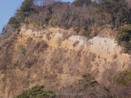 180110-久能山ロープウェイ (15)