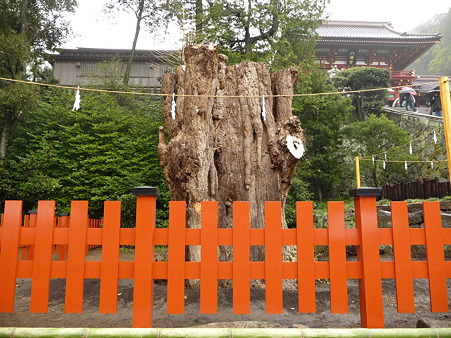 100405-八幡さま (9)