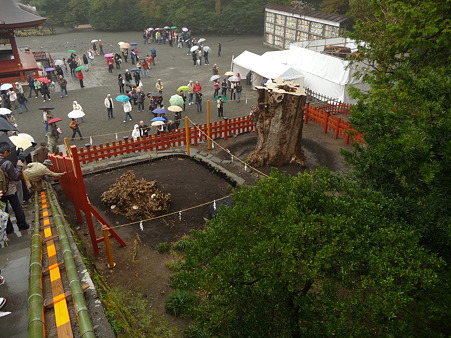 100405-八幡さま (18)