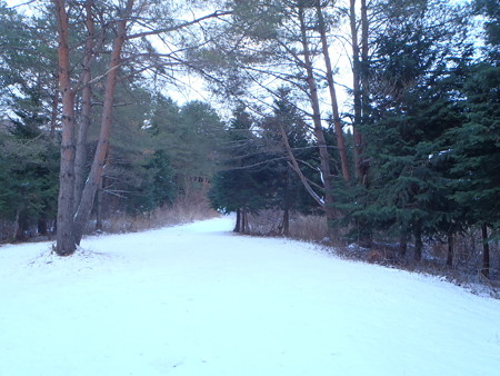 14121402