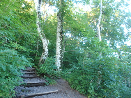 P9090005