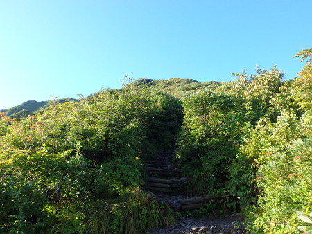 P9090011