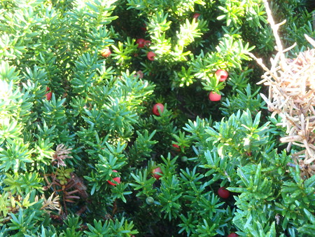 P9090027