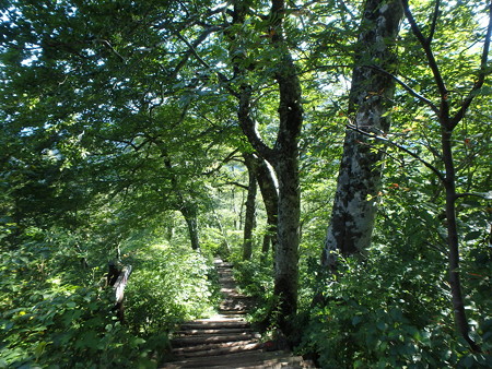 P9090043