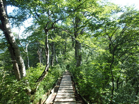 P9090045