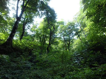 P9090054