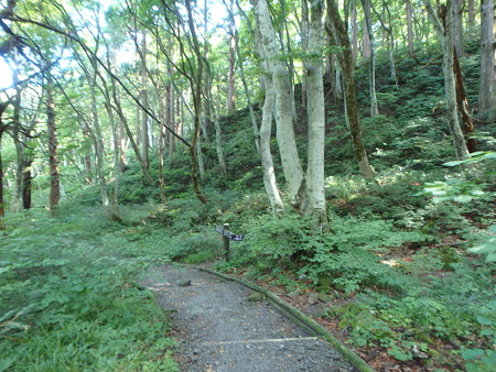 P9090061