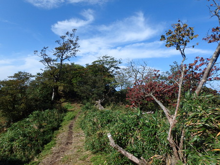 P9240021