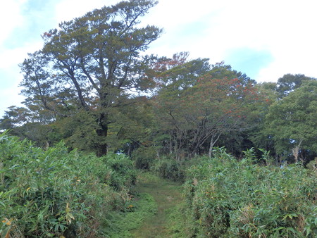 P9240034