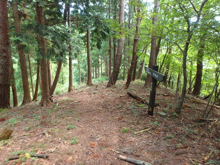 P9240048