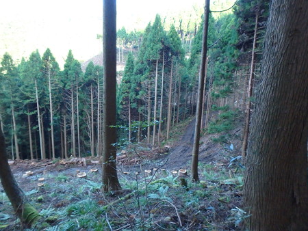 P9260008